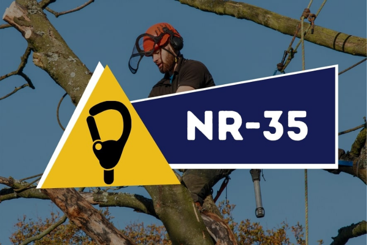 NR 35 – Segurança Em Trabalho Em Altura